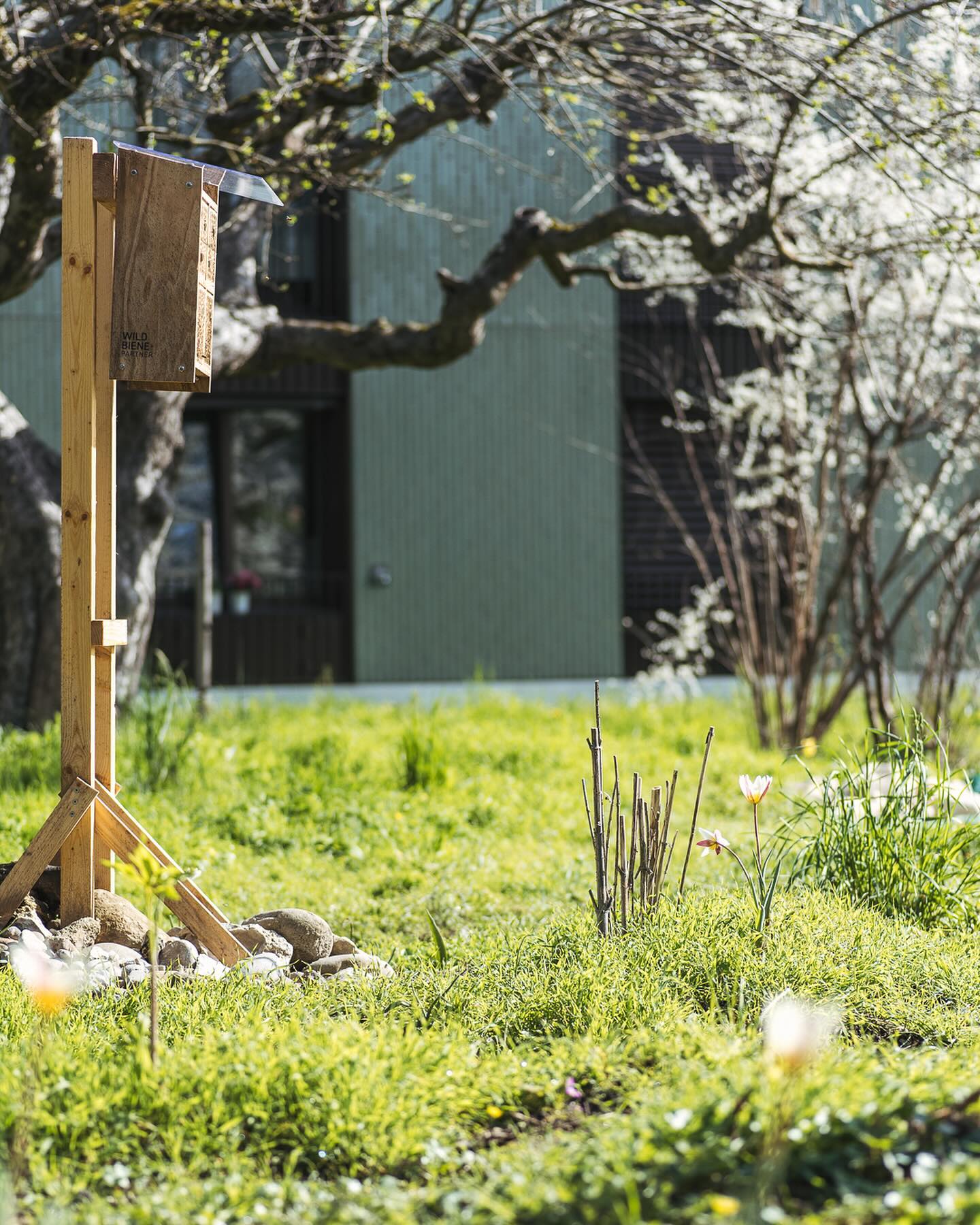 Ein paar Impressionen aus der letzten Märzwoche. Wir wünschen allen schöni Ostere :)
.
#garten #gemeinschaftsgarten #zürichcity #seebach #urbanesgärtnern #städtischergarten #nachhaltigegärten #stadtgarten #gartenimpressionen #frühlingsgarten #märzgarten