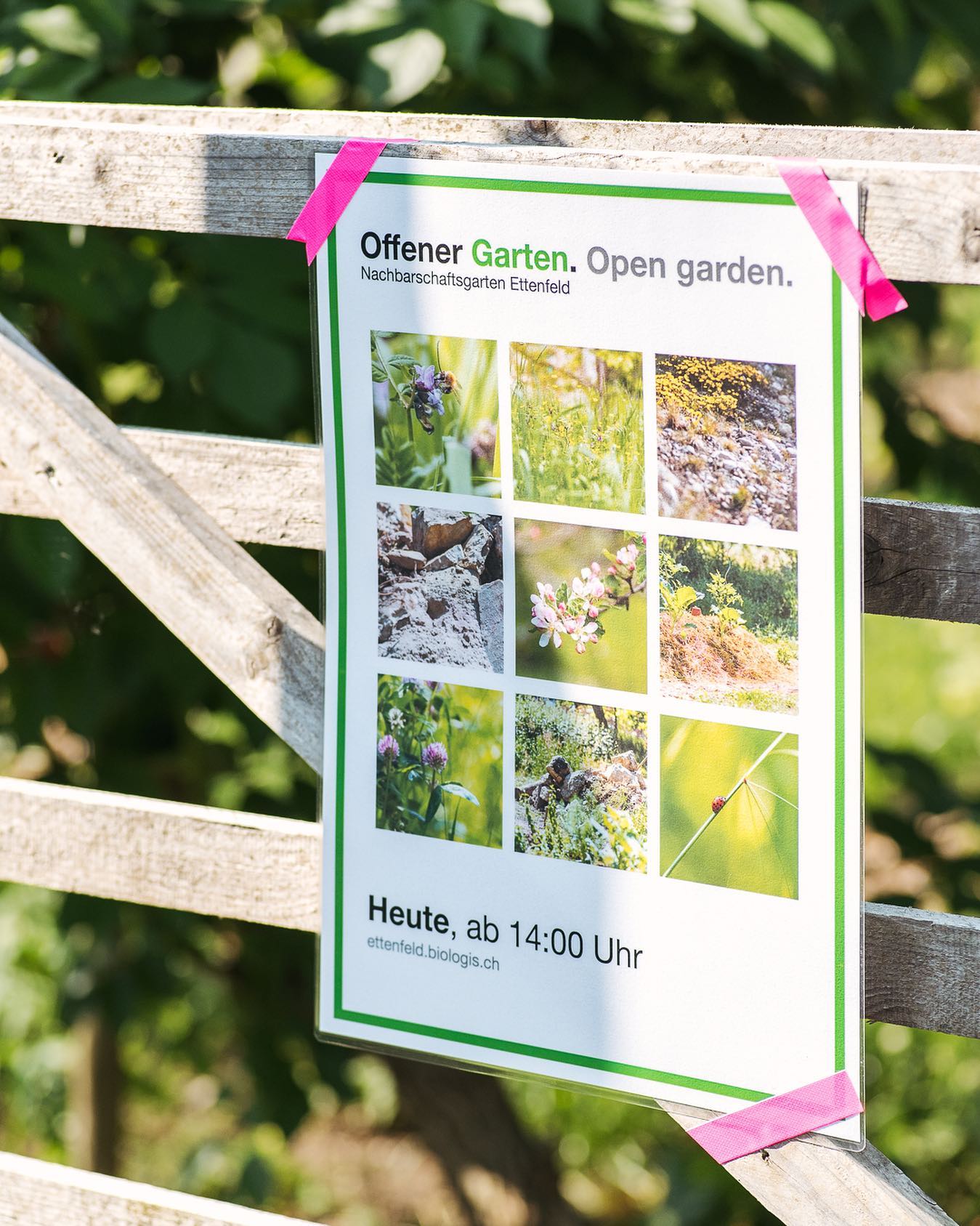 Heute offener Garten bei uns am 14 Uhr! 
.
Wir führen euch durch den Garten, beantworten Fragen und zeigen euch, welche Pläne wir für den Garten haben.
Ihr könnt ausserdem das Sensen ausprobieren und wie sammeln neue ideen  von euch.
.
Alle sind herzlich willkommen :)
.
Wir suchen übrigens auch noch neue Mitglieder für den Verein, die aktiv bei uns mitmachen und gestalten wollen. 
.
#nachbarschaftsgarten #urbangardening #garten #gemeinschaftsgarten #zürichcity #seebach #urbanesgärtnern #städtischergarten #nachhaltigegärten 
#offenergarten #opengarden #heuteinzürich