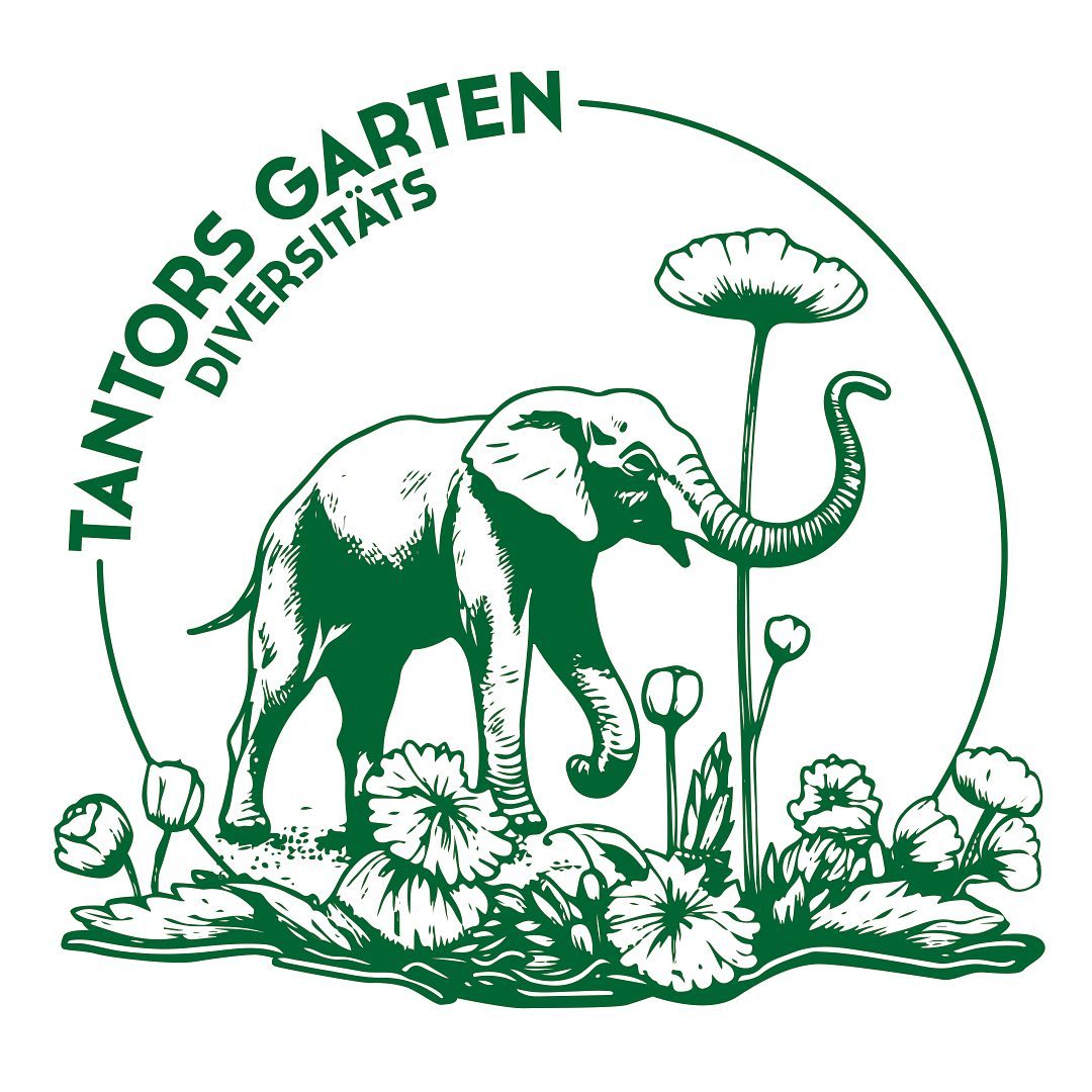 Unser Garten hat endlich einen richtigen Namen und ein Logo auch noch dazu: Tantors Diversitäts Garten
.
Die Namensgebung geht auf den Elefanten zurück, welcher auf dem Gelände des heutigen Nachbarschaftsgartens gelebt hat. 
.
Ihr wusstet nicht, dass es hier einen Zoo gab? Na dann wird es Zeit für ein bisschen Geschichtsunterricht. 
.
Von 1928 bis 1930 war auf dem Gelände am Katzenbach der Tiergarten Seebach beheimatet. Eine seiner grössten Attraktionen war der Elefant Tantor. Die Kinder konnten auf dem Indischen Elefanten reiten. Neben vielen anderen Tieren gab es auch einen Biergarten und so war der Zoo ein beliebtes Ausflugsziel. 
.
Tantor büxte im Jahr 1929 aus dem Zoo aus und wurde von einem Zug erfasst. Diesen Unfall überlebte er leider nicht und auch der Zoo selbst überlebte danach nicht mehr lange und musste 1930 seine Tore wieder schliessen. 
.
Unser Verein Tantors Diversitäts Garten setzt sich nun dafür ein, auf dem Gelände einen Nachbarschaftsgarten mit viel Biodiversität zu verwirklichen, welcher auch die Nachbarschaft näher zusammenbringen soll. 
.
Quelle Geschichte und Fotos: https://verein-ortsgeschichte-seebach.ch/historisches/tiergarten-ag-seebach/index.html
.
#nachbarschaftsgarten #urbangardening #garten #gemeinschaftsgarten #zürichcity #seebach #urbanesgärtnern #städtischergarten #nachhaltigegärten #quartiergarten #stadtgarten #vereinsgründung #stadtgeschichte #quartierverein
