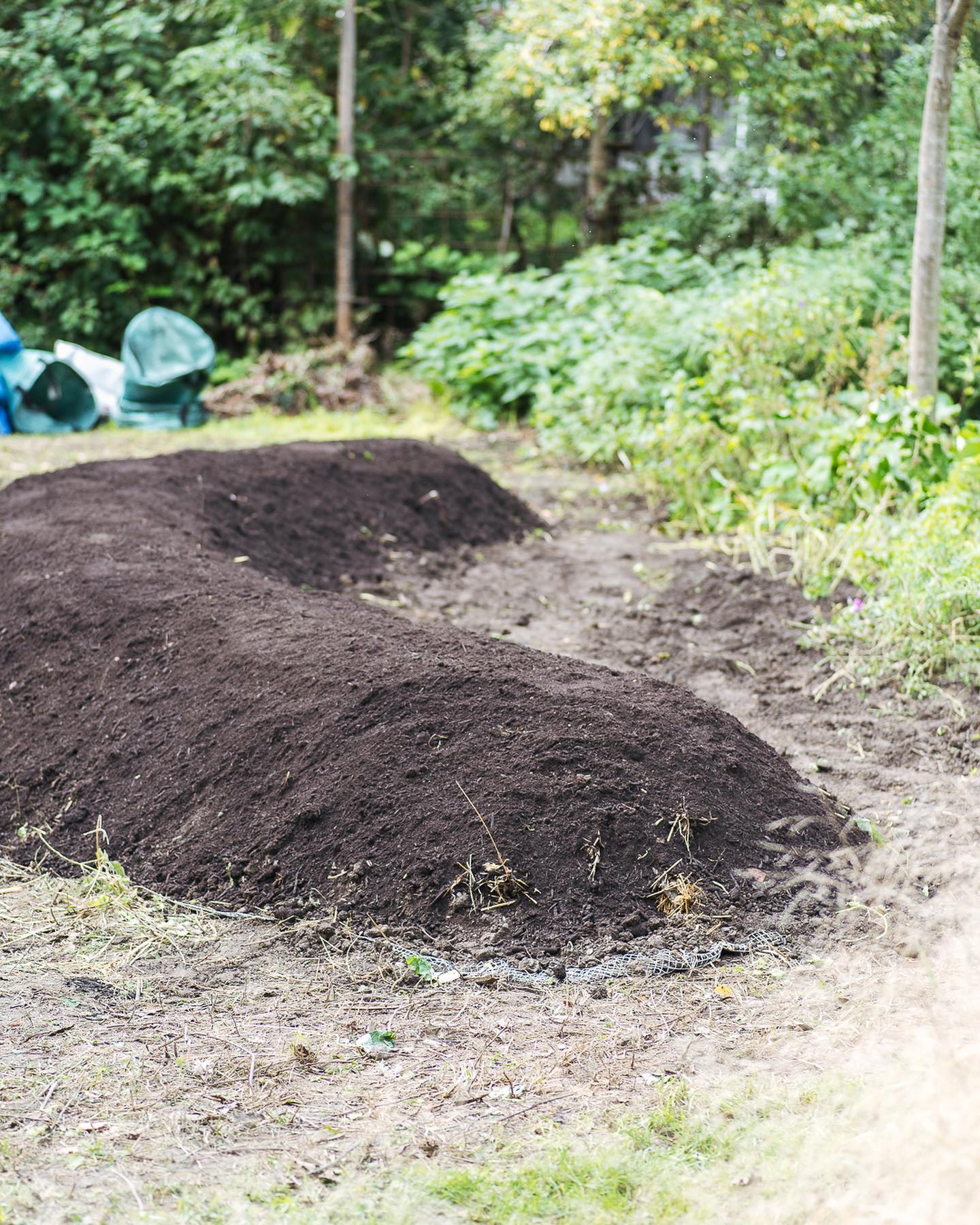 Gestern haben wir ein zweites Hügelbeet gebaut :). Jetzt muss es nur noch gemulcht werden, sodass es für den Winter bereit ist. Wir haben es jetzt schon gebaut, damit es sich über den Winter setzen kann und wir es dann recht früh schon bepflanzen können im Frühling. 
.
Das Holz kommt vom grossen Baumschnitt im Sommer. Gekostet hat uns das Beet nur den Preis des Mäusedrates und dem frischen Kompost. Wir holen ihn übrigens unschlagbar günstig beim Kompostwerk der Stadt Zürich. 
.
#nachbarschaftsgarten #urbangardening #garten #gemeinschaftsgarten #zürichcity #seebach #urbanesgärtnern #städtischergarten #nachhaltigegärten #stadtgarten #hügelbeet #hugelkultur #hugelkulturgardening