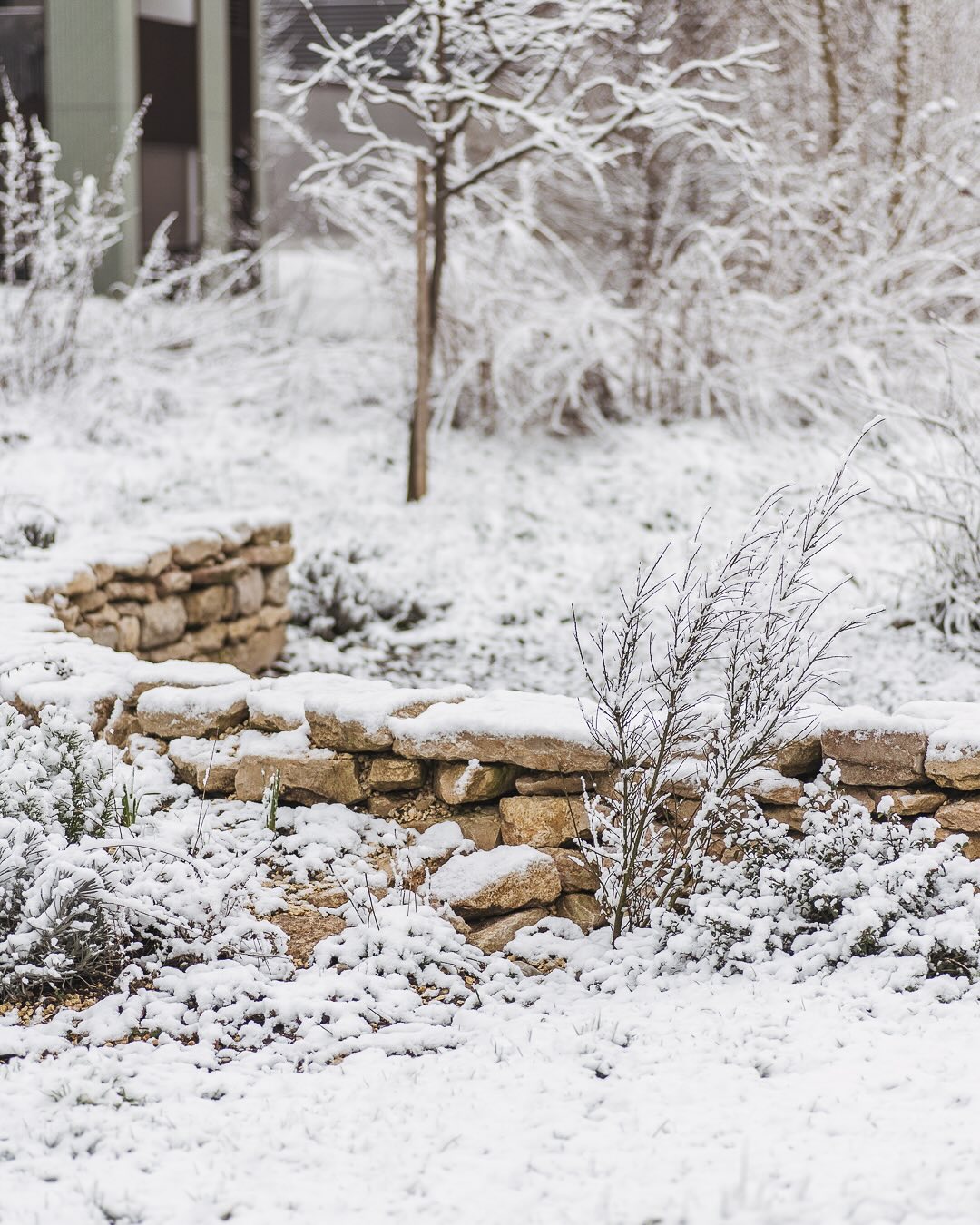Hoppla, es ist ja noch Winter :) zumindest ein bisschen… Die Trockenmauer macht sich gut im Schnee, wie ich finde. 
.
#nachbarschaftsgarten #urbangardening #garten #gemeinschaftsgarten #zürichcity #seebach #urbanesgärtnern #städtischergarten #nachhaltigegärten #februargarten #schneeimgarten #schneegarten #snowygarden #snowgarden #trockenmauer