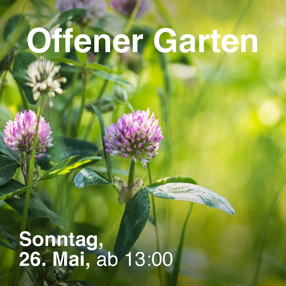Am Sonntag 26. Mai gibt es bei uns einen offenen Garten im Rahmen des Festivals der Natur 2024 @festivaldernatur .
.
Wir führen euch durch den Garten, beantworten Fragen rund um unser Projekt und zeigen euch, welche Pläne wir für den Gemeinschaftsgarten noch haben.
Ausserdem gibt es ein paar Leckereien aus dem Garten und hoffentlich einen tollen Austausch mit euch.
.
#nachbarschaftsgarten #urbangardening #garten #gemeinschaftsgarten #zürichcity #seebach #urbanesgärtnern #städtischergarten #nachhaltigegärten #festivaldernatur2024 #festivaldernatur24 #festivaldernatur #offenergarten #tagderoffenentür #stadtgarten #stadtzürich #zürichseebach
