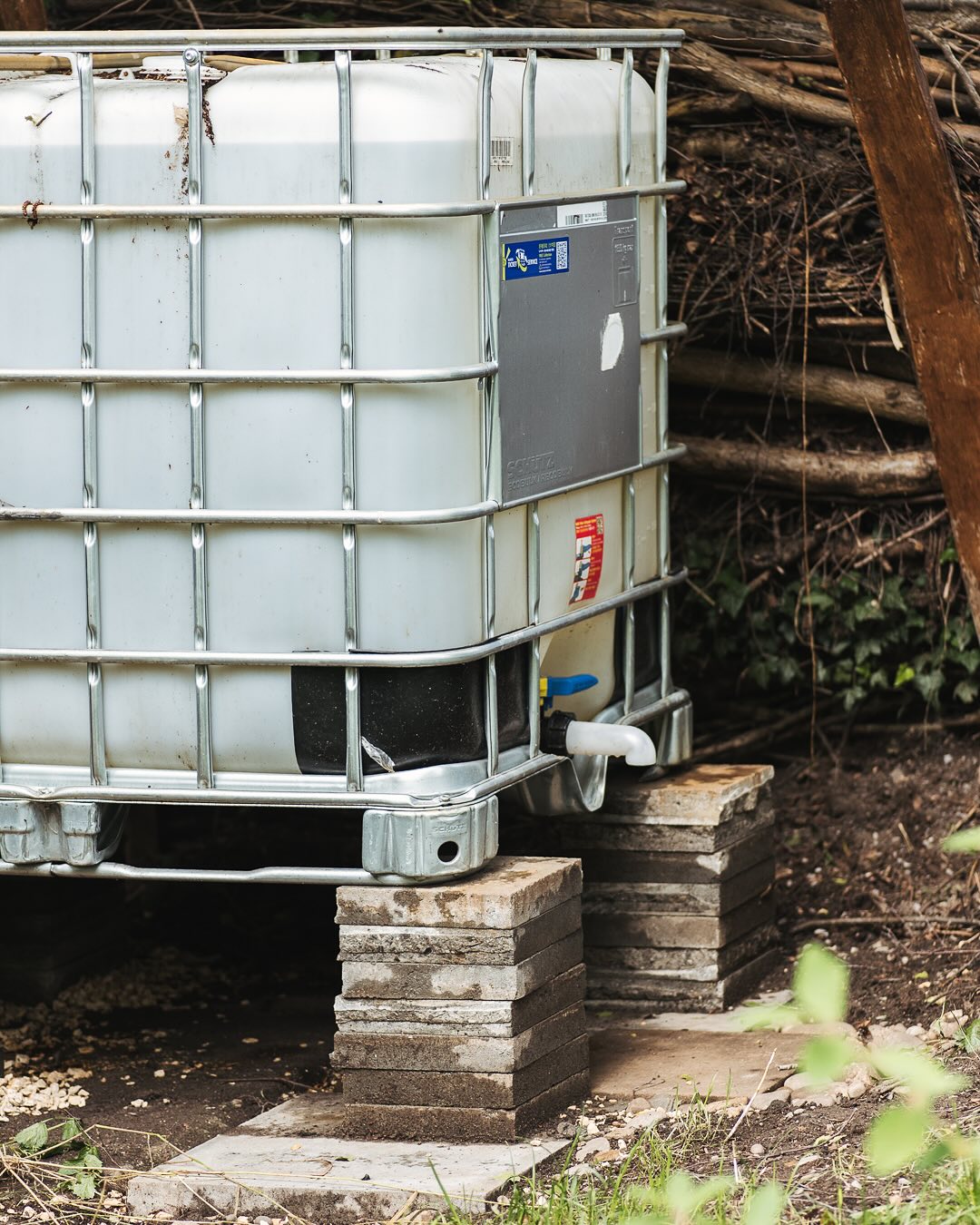 Besser spät als nie… die Bilder vom letzten Gartentag am 18. Mai.
.
Wir haben nun endlich einen Wasseranschluss im Garten! Schon lange in Planung und nun endlich umgesetzt, hat ein Team unseres Gartenvereins einen Teil des Dachwassers der Werkschüür, welche nebenan ist, in den Garten und einen Wassertank geleitet. Dafür musste ordentlich gebuddelt werden. Zur Belohnung gab es natürlich auch leckere kulinarische Köstlichkeiten. 
.
Ausserdem haben wir eine Erdbeerpyramide gebaut! Eine mathematisch anspruchsvolle Aufgabe, wie sich herausgestellt hat ;) Die umgesiedelten Erdbeeren sahen zu Beginn noch etwas kläglich aus. Mittlerweile hat sich ein grosser Teil davon erholt. Den Rest ersetzen wir dann mit den Ausläufern, die entstehen. Unsere Hoffnung ist es, dass wir zumindest einen Teil der Erdbeeren dieses Mal für uns haben und nicht alles die Schnecken essen… 
.
#nachbarschaftsgarten #urbangardening #garten #gemeinschaftsgarten #zürichcity #seebach #urbanesgärtnern #städtischergarten #nachhaltigegärten #naturgarten #imgarten #gartenfreude  #wasserversorgung #wassertank #gartentag