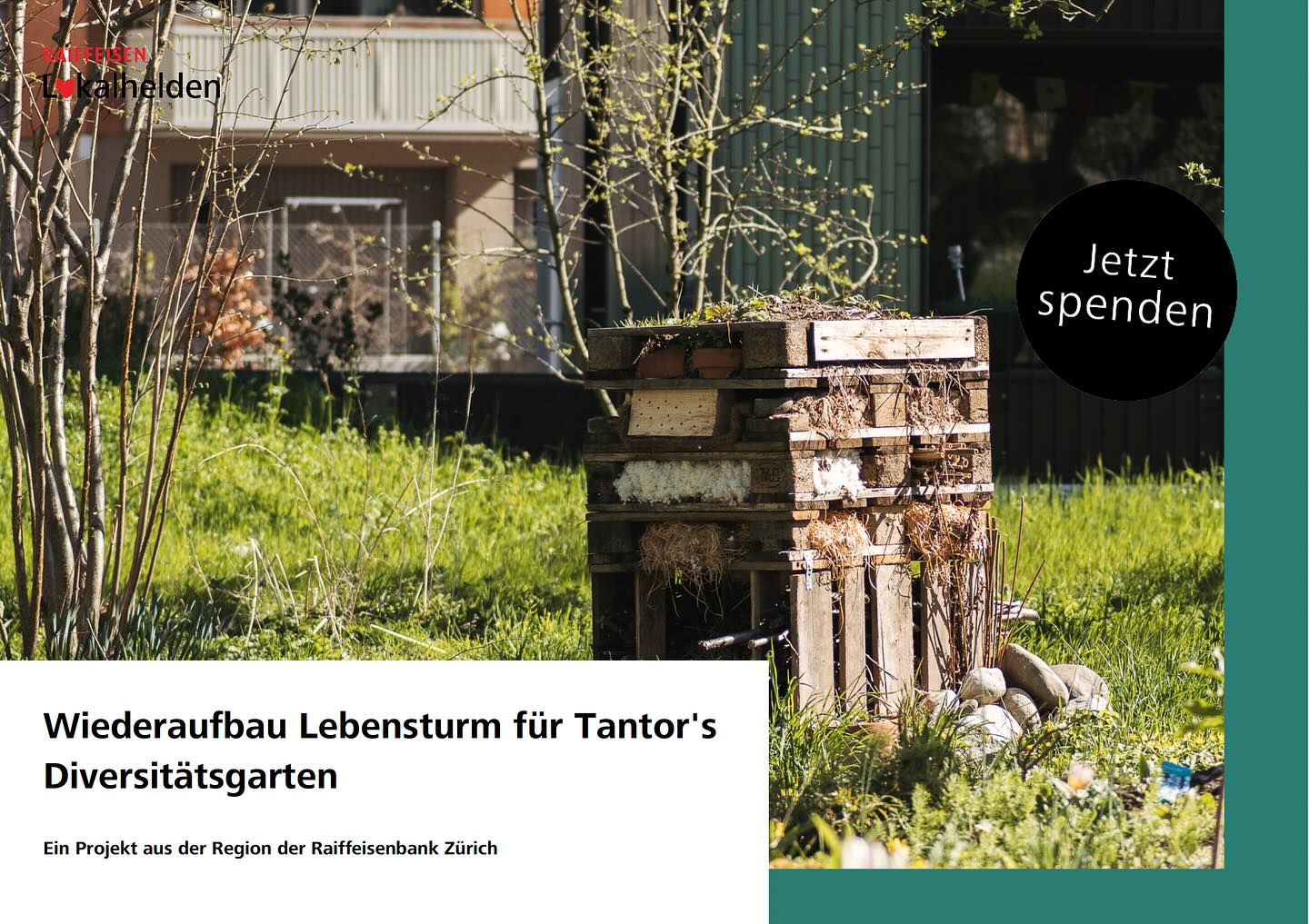 Wir sammeln für einen neuen Lebensturm! Leider wurde unser Lebensturm im April von unbekannten angezündet und vollständig zerstört. Unser kleines Vereinsbudget lässt zur Zeit keinen Wiederaufbau zu. Deswegen sammeln wir nun mit Hilfe des Crowdfundings von Lokalhelden. Es wäre wunderbar, wenn wir genug Geld zusammen kriegen, damit wir einen tollen noch schöneren Turm bauen können. Als kleines Dankeschön bekommt man z.B. eine feine Konfi aus dem Garten.  . https://www.lokalhelden.ch/neuer-lebensturm-diversitaetsgarten . #nachbarschaftsgarten #urbangardening #garten #gemeinschaftsgarten #zürichcity #seebach #urbanesgärtnern #städtischergarten #nachhaltigegärten #crowdfund #crowdfunding #lokalhelden #lebensturm #insektenhotel #biodiversitätschweiz